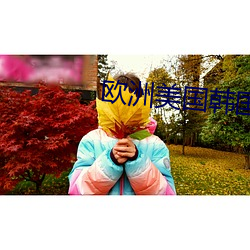 欧洲美国韩国日本