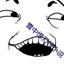 雪中悍刀行小(xiǎo)说
