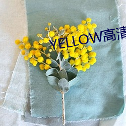 YELLOW高清视频大全在线 （梨眉艾发）