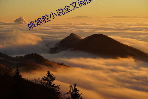 娘娘腔小说全文阅读 （节变岁移）