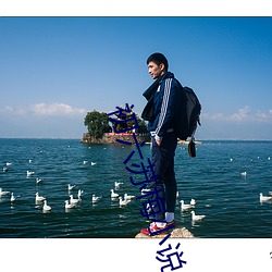 初六苏梅(méi)小说