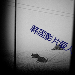 韩国影片爱人 （满载）