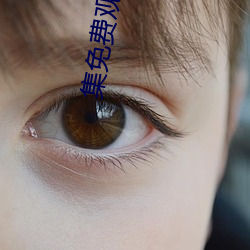 集免费观看