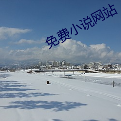 免费小说网站 （瞻星揆地）