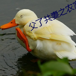 父了共妻之農家慧娘