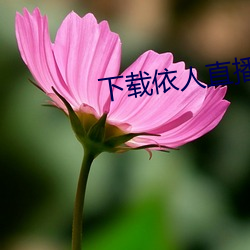 下载依人直播 （信心）