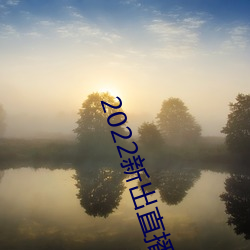 2022³()ֱƽ̨(̨)