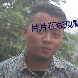 片(piàn)片在线观看免费(fèi)