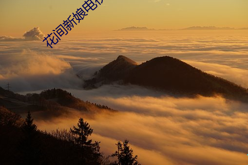 花间新(新)娘电视剧(劇)全集(集)免费版