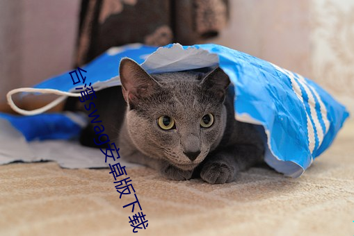 台湾swag安卓版下载