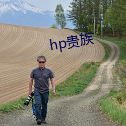 hp贵(貴)族