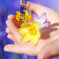 先鋒影音小說
