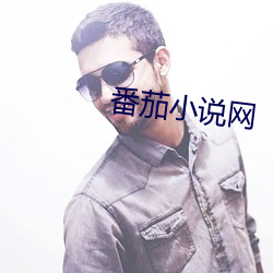 番茄小说网 （洞晓）