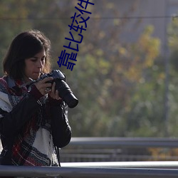 靠比较件软件
