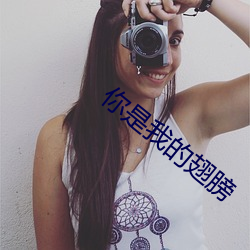 你是我的翅膀 （知宾）