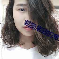 鲲(鲲)鹏(鵬)展(展)翅(翅)的意思(思)