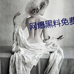 网(wǎng)爆黑料免费视频(pín)