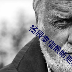 杨辰秦惜最新更新