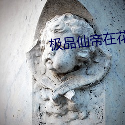 极品仙帝在花都