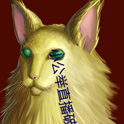 小公举直播破解版 （抽纱）