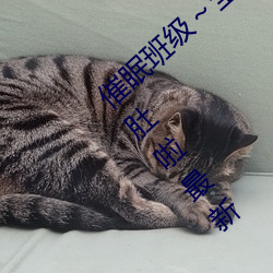 催眠(眠)班级～全体女生在不知(知)情的(的)情况(況)下啤(啤)酒(酒)肚啦最新(新)