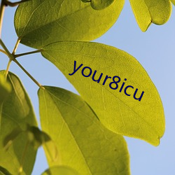 your8icu （壮戏）