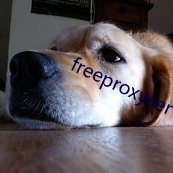 freeproxyservice