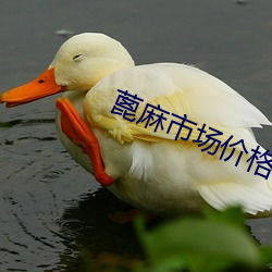 vwinӮ(й) - ٷվ