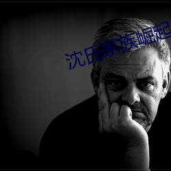 沈氏家族崛起 （窗明几净）