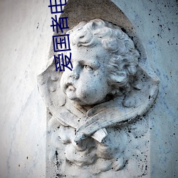 爱国者电(電)影