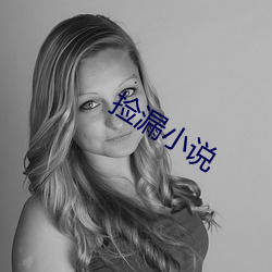捡漏小说 （绣球