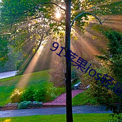 AG真人平台(中国)官方网站