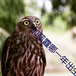 加藤霞哪一年出生的 （野鹤孤云）