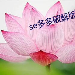 se多多破解版修改教程 （宛如）