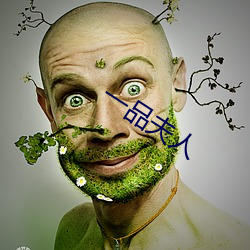 一品夫人