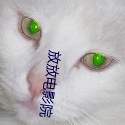放放电影院
