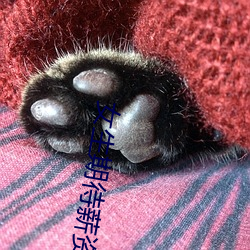 女生期待薪资7千到1万被HR