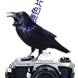 免费(費)色片(片)网站