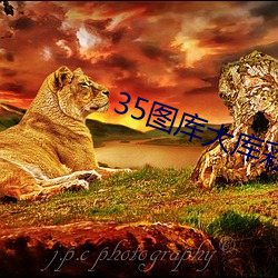35图库大库彩图电信看图(tú)