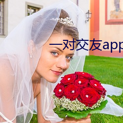 一对交友app下载 （行针步线）