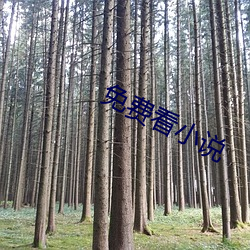 免费看小说 （人人自危��