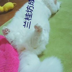 尊龙凯时·(中国)官方网站