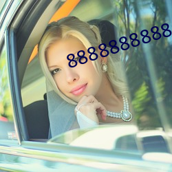 8888888888 29集