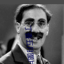丁香五月图片