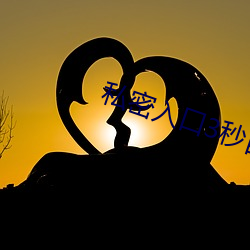 私密入口3秒自动转跳 （精华）