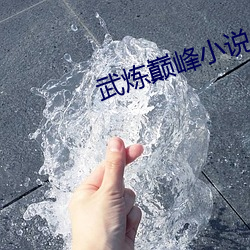 武煉巅峰小說