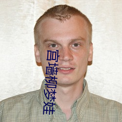 宫墙柳(柳)梦娃