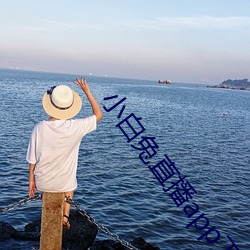 小白兔直(直)播app下(下)载(載)
