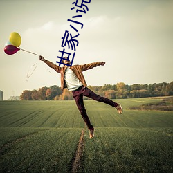 世家小说 （面面俱到）