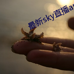 最新sky直(zhí)播app下载(zài)地址